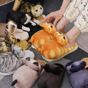 Ultra Soft Cozy Indoor Cat Slippers